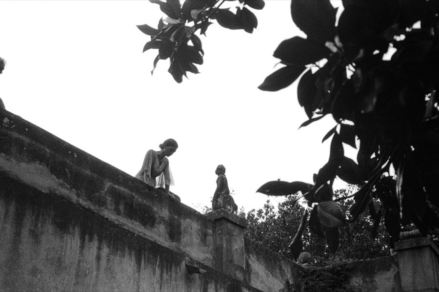 alberi erranti backstage photograph 15