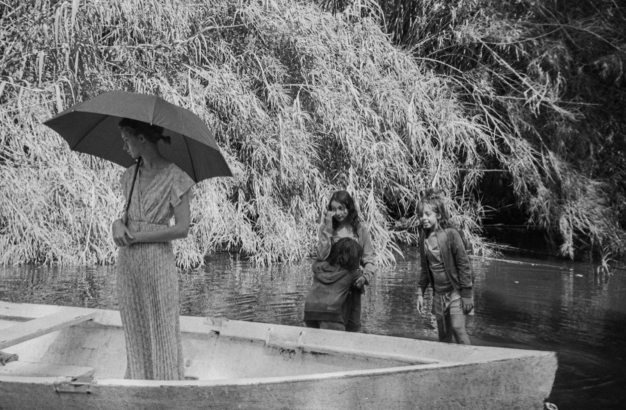 alberi erranti backstage photograph 43