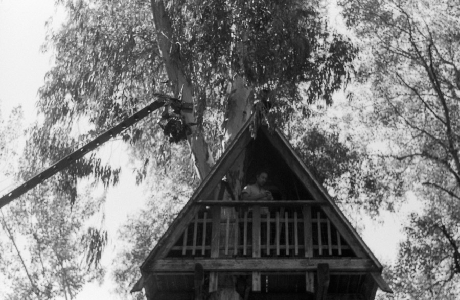 alberi erranti backstage photograph 59