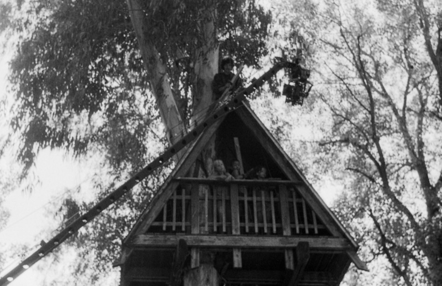 alberi erranti backstage photograph 61