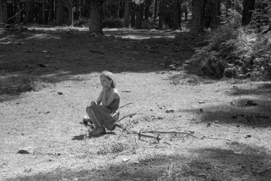 alberi erranti backstage photograph 80