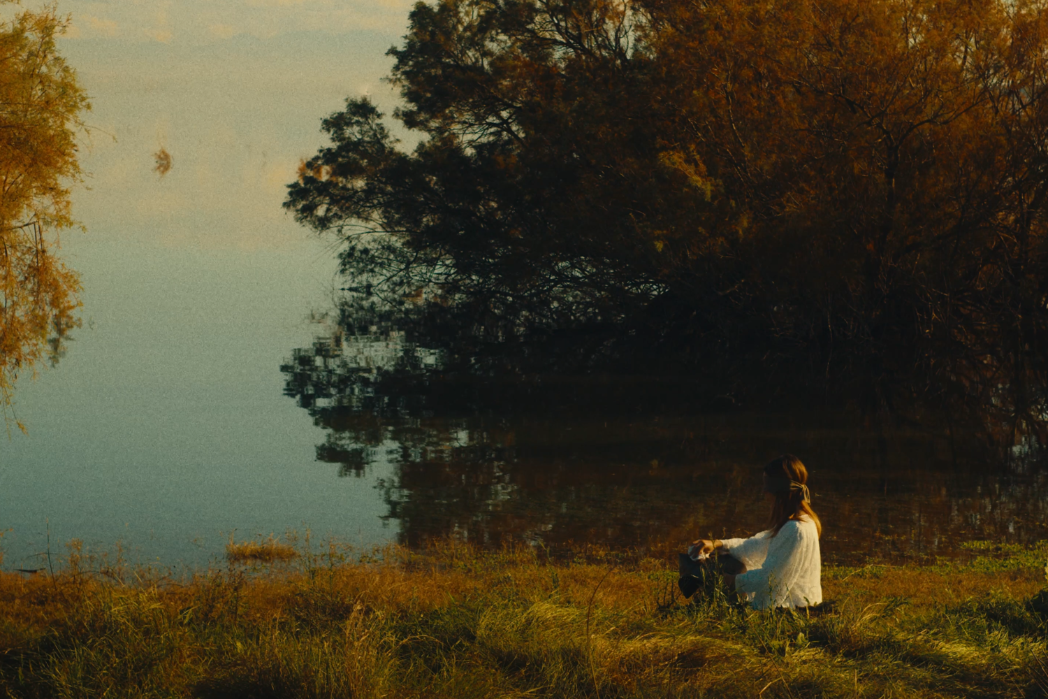 banshee still