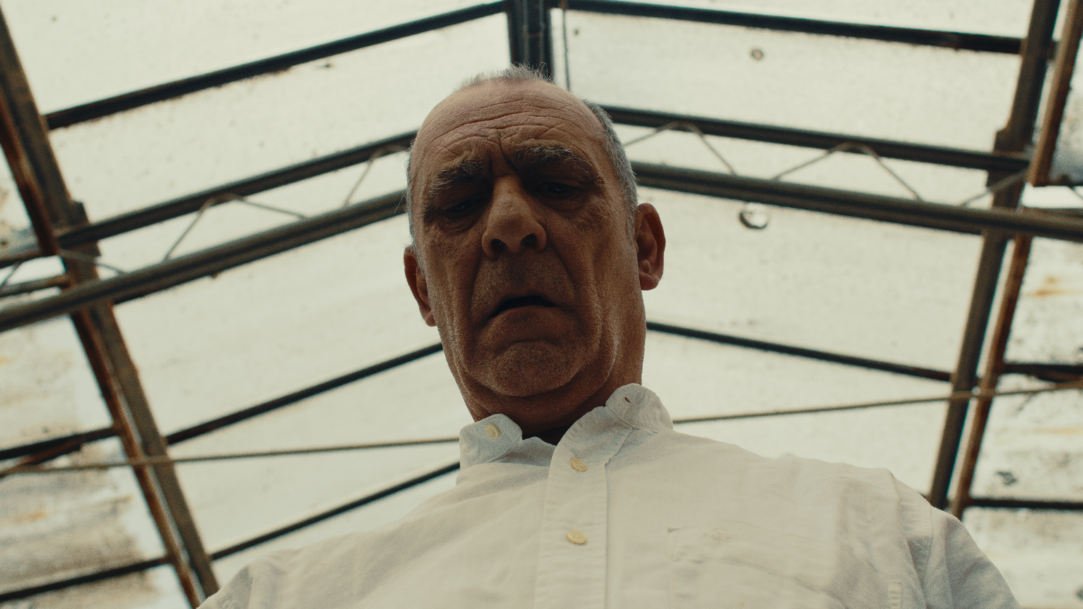la digestione di dio still