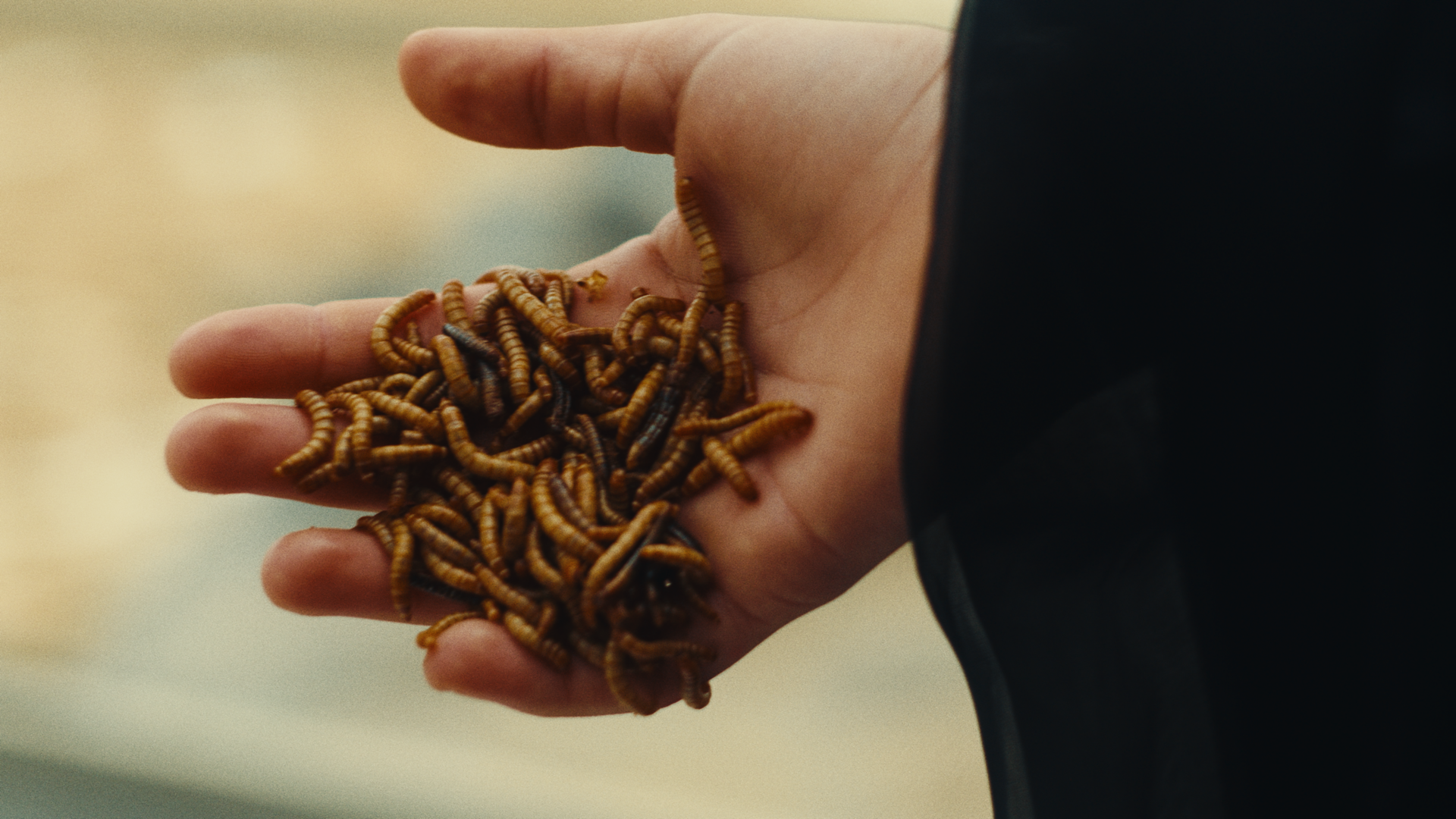 la digestione di dio still