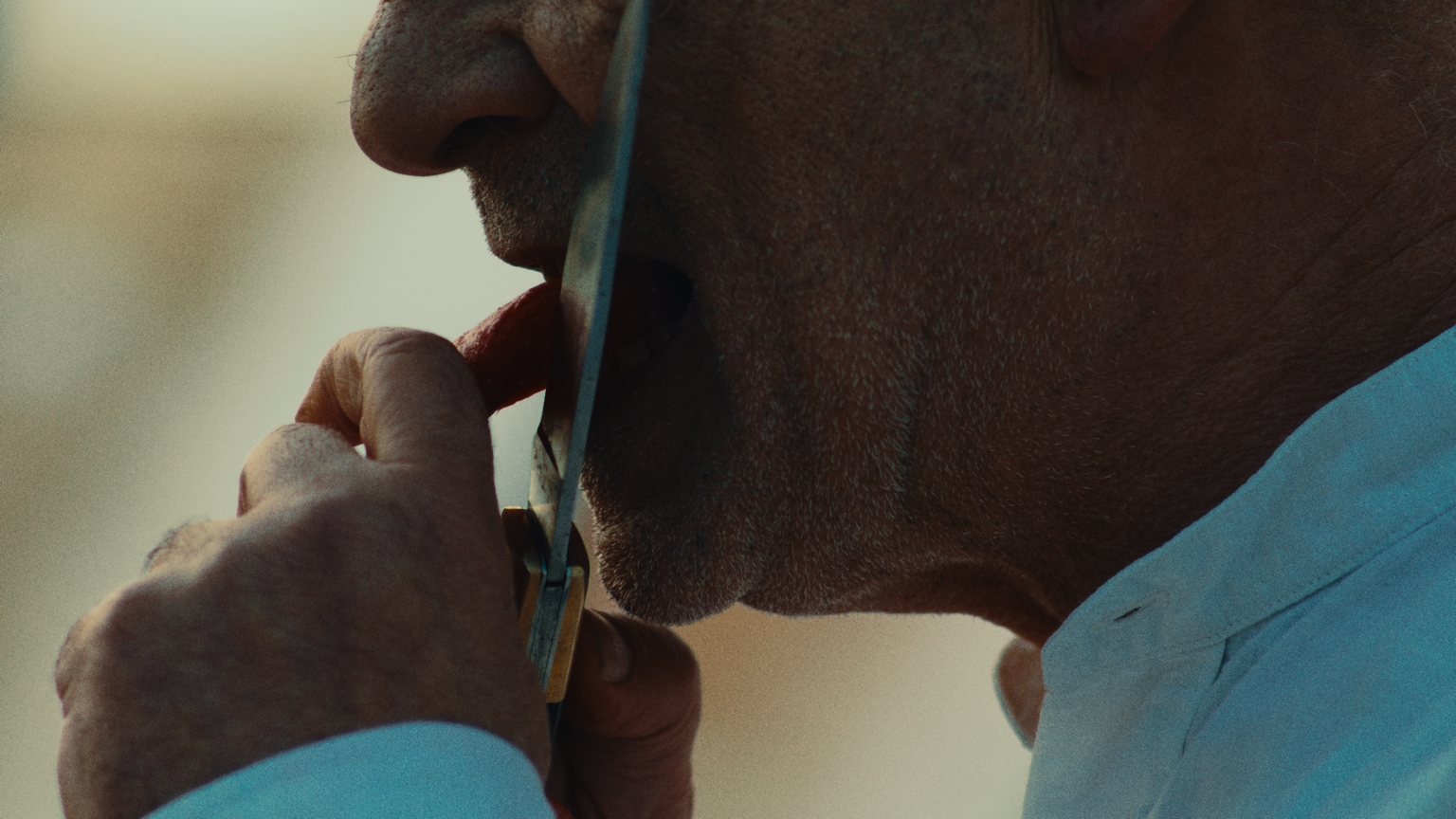 la digestione di dio still